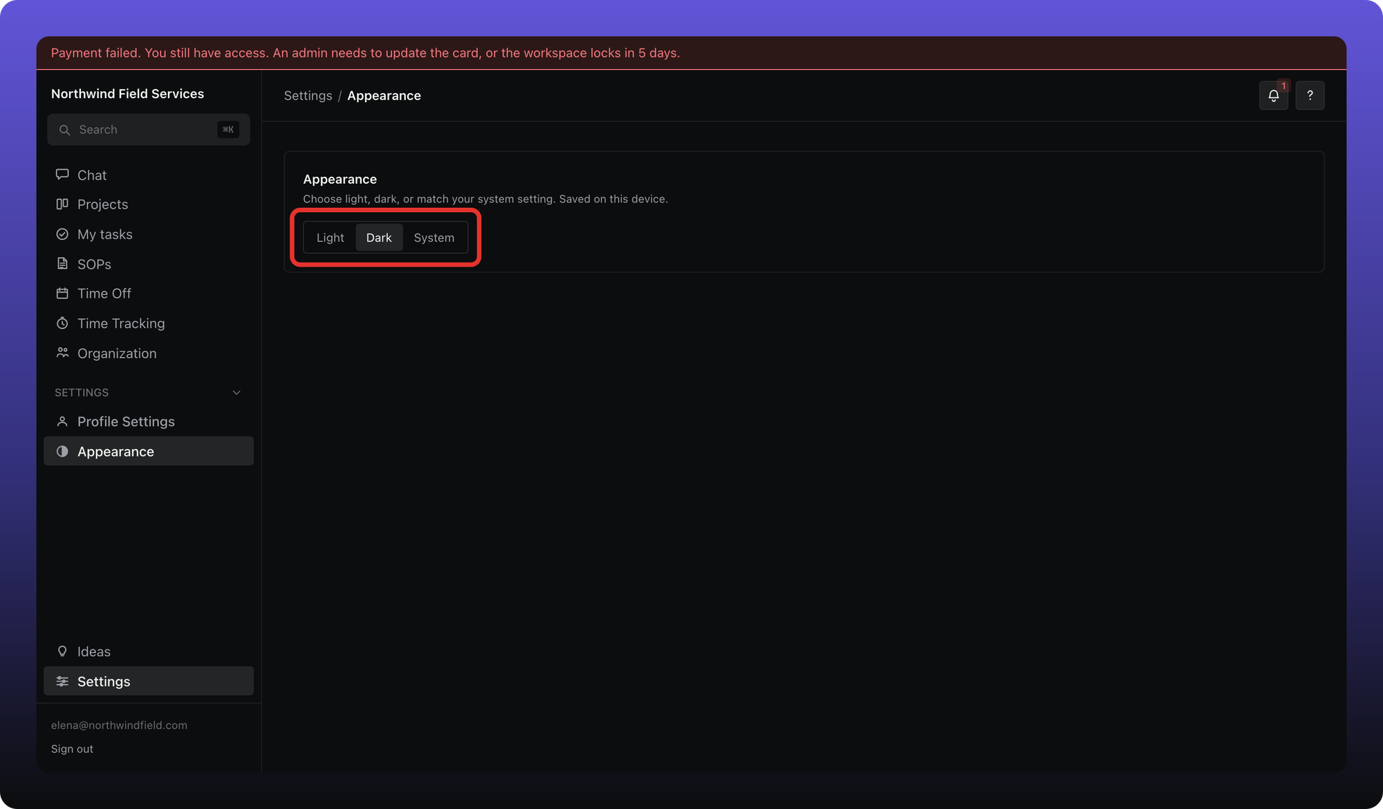 Appearance tab with Light, Dark, and System theme options